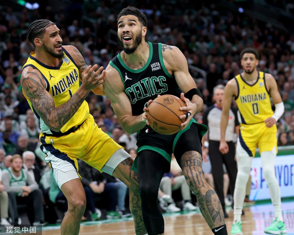 是因为浙江 是因为浙江